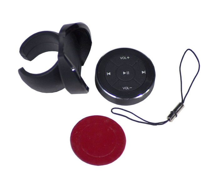 4-BTREM2-2 image