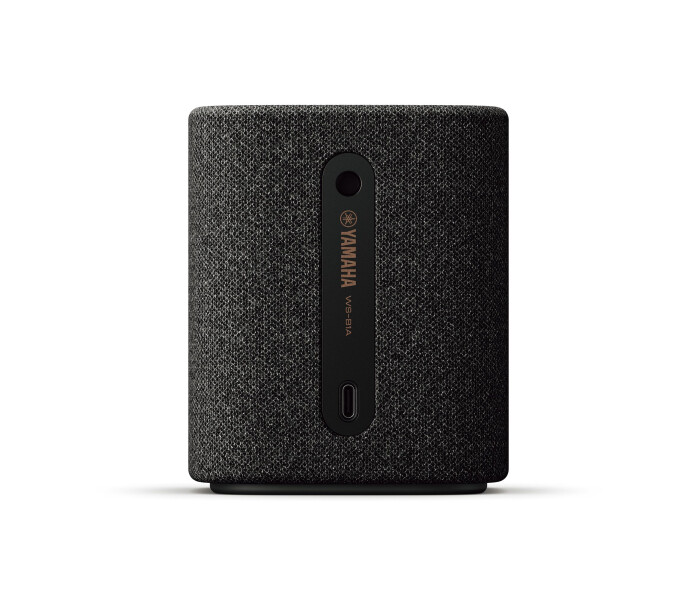 WS B1A CarbonGrey Back 0567a3bdb676f7f2c8aebd03e6aaa609 image