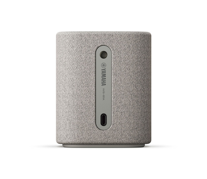 WS B1A LightGrey Back e15e150b73b3c392099346415a70687c image