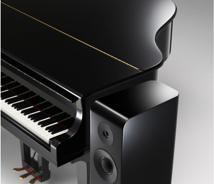 NS2000A withpiano2 2659ea5ff663070066ec9d185b4d6314 image