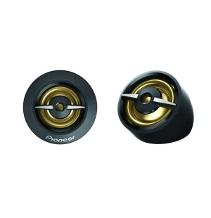 Pioneer TS-A301TW image