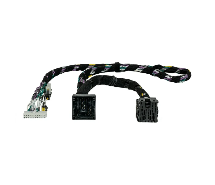PP PAM 01 image
