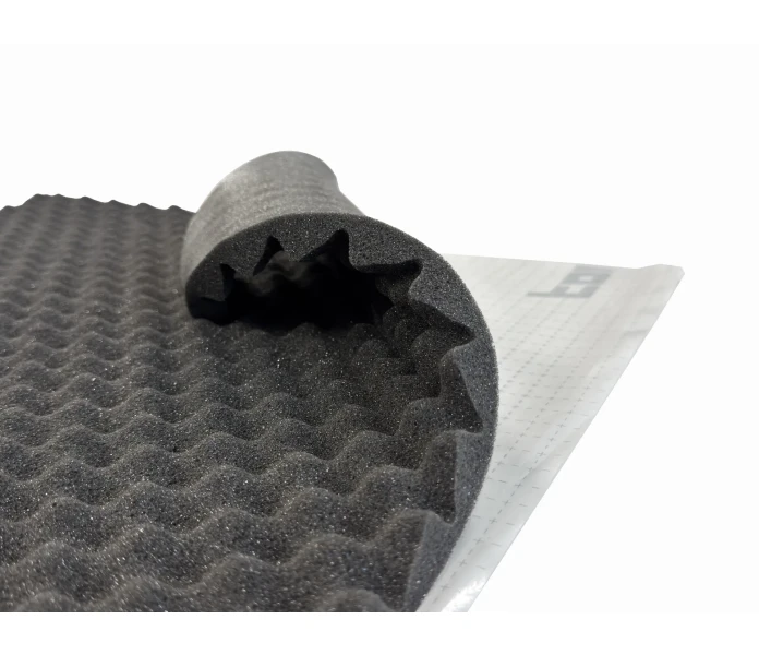 IMG 7596 kopio image